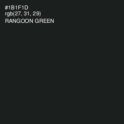 #1B1F1D - Rangoon Green Color Image